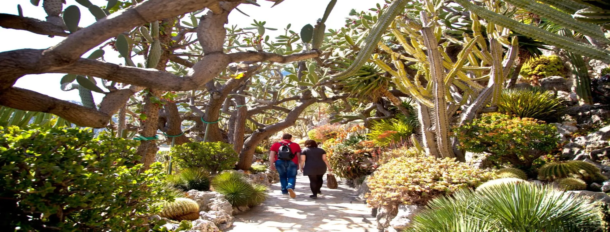 Image for Exotic Garden